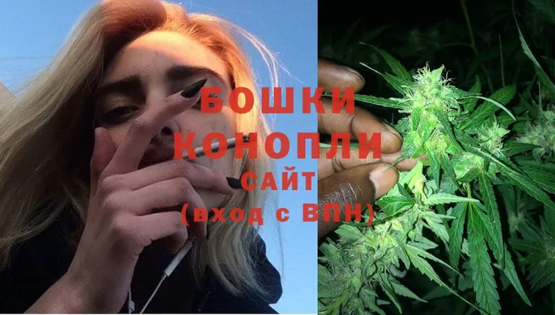 МАРИХУАНА SATIVA & INDICA  блэк спрут зеркало  Партизанск 